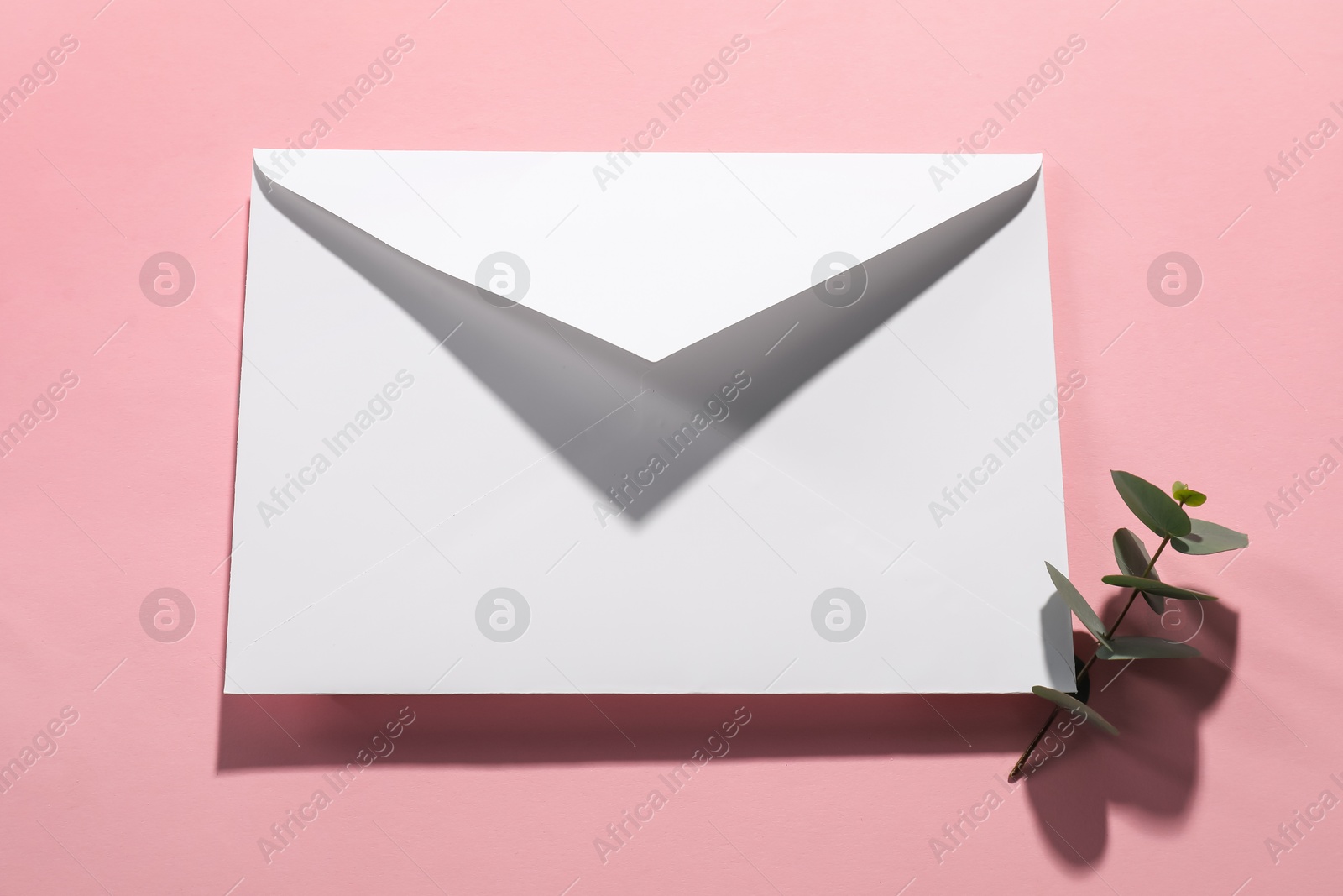 Photo of Paper envelope and eucalyptus branch on pink background, top view. Mockup for design