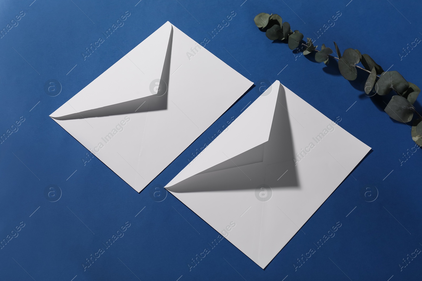 Photo of Paper envelopes and eucalyptus branch on blue background, above view. Mockup for design