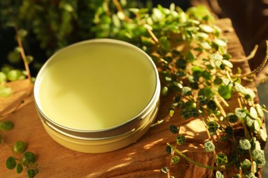 Photo of Natural solid perfume and plant on wood, closeup