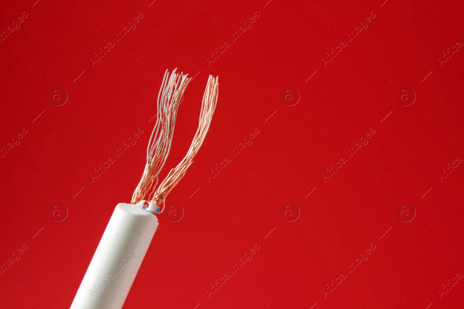 Photo of Stripped electrical wire with copper strands on red background, closeup