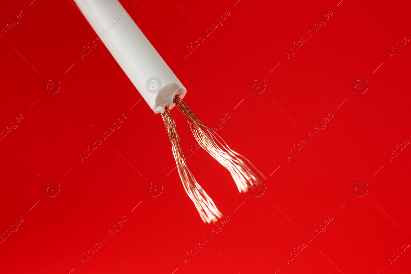 Photo of Stripped electrical wire with copper strands on red background, closeup