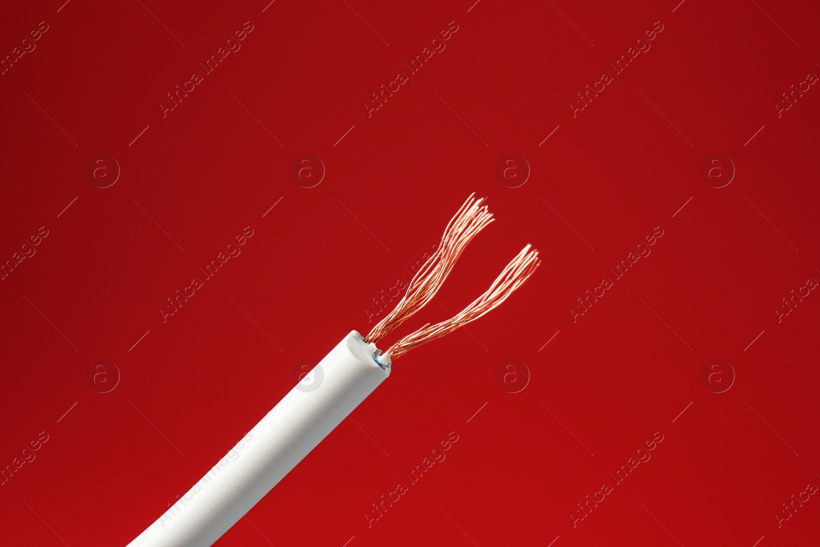 Photo of Stripped electrical wire with copper strands on red background