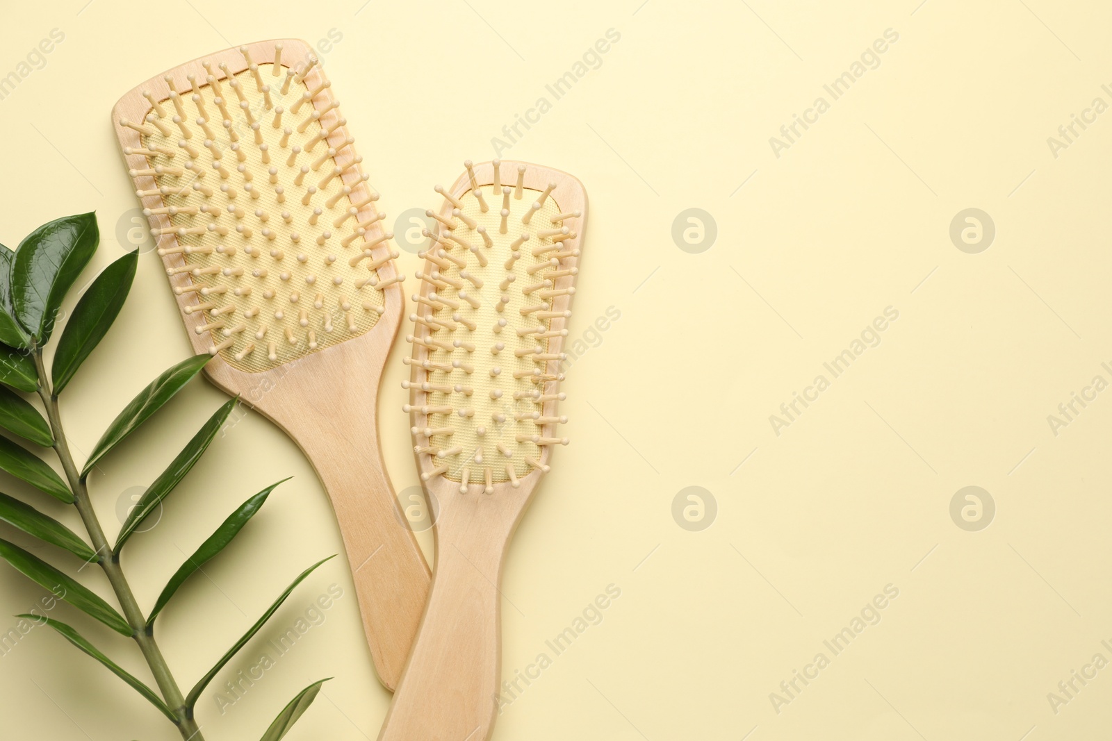 Photo of Wooden hair brushes and green branch on beige background, flat lay. Space for text