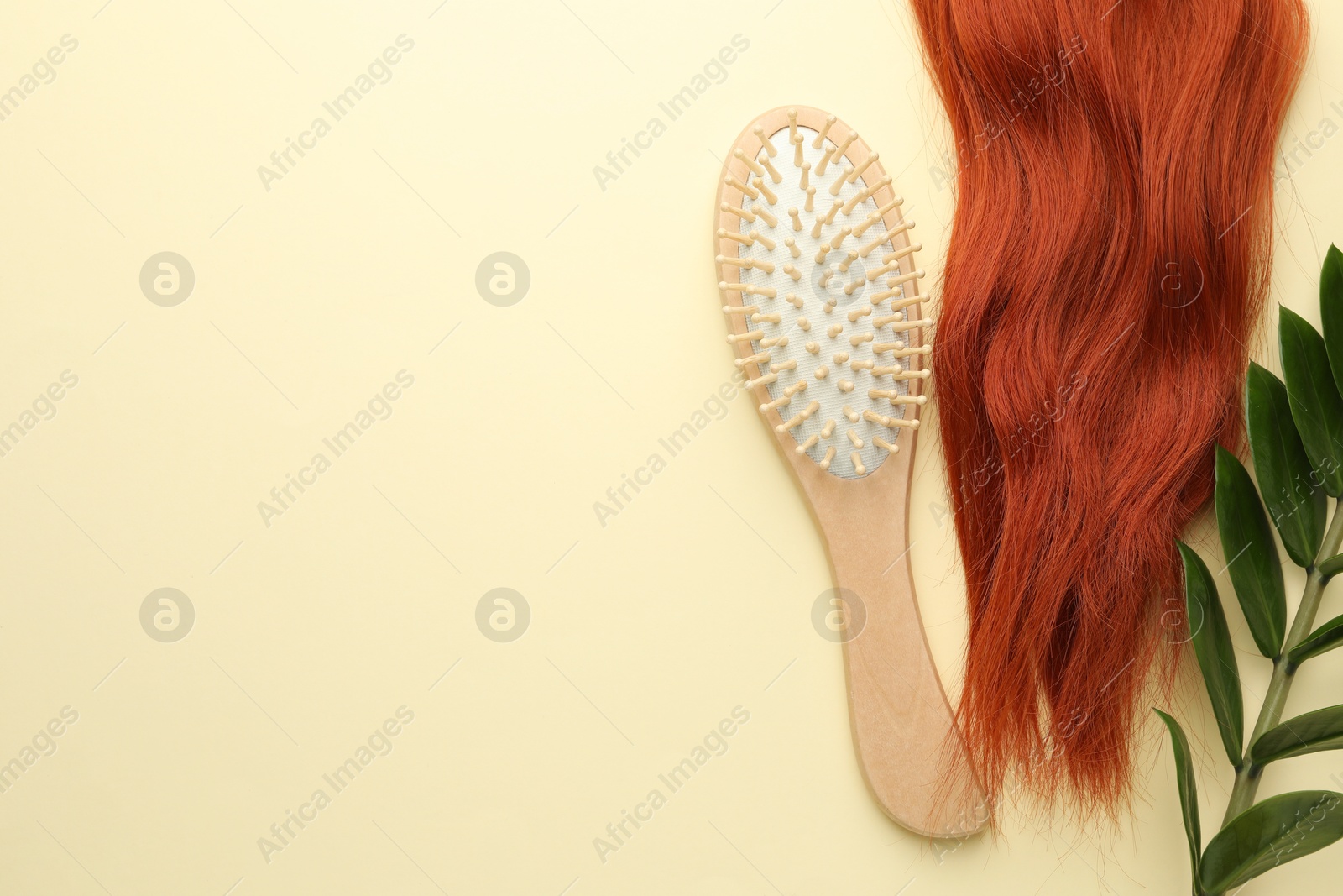 Photo of Wooden brush, branch with leaves and lock of hair on beige background, flat lay. Space for text