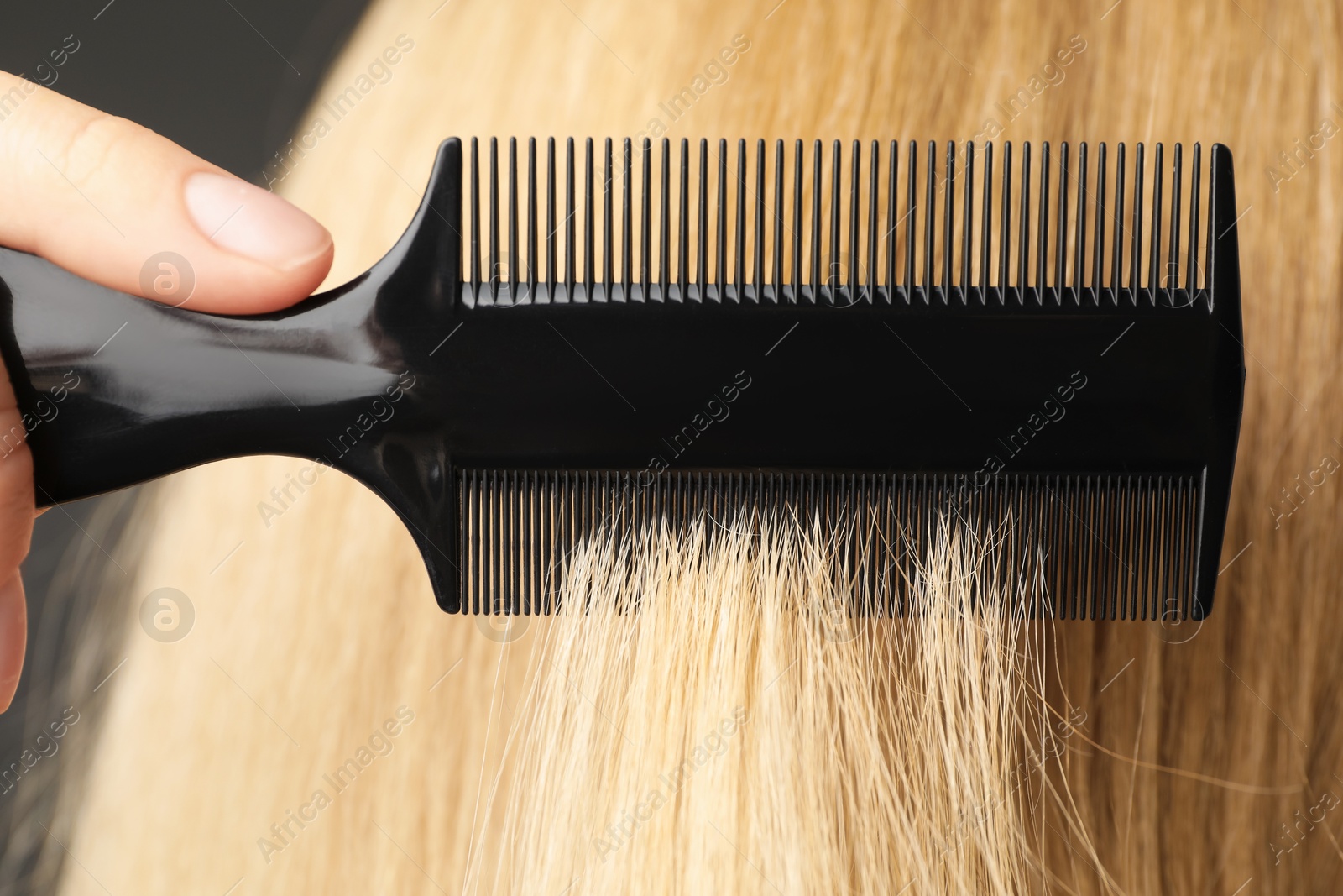 Photo of Woman brushing hair with plastic comb on grey background, closeup