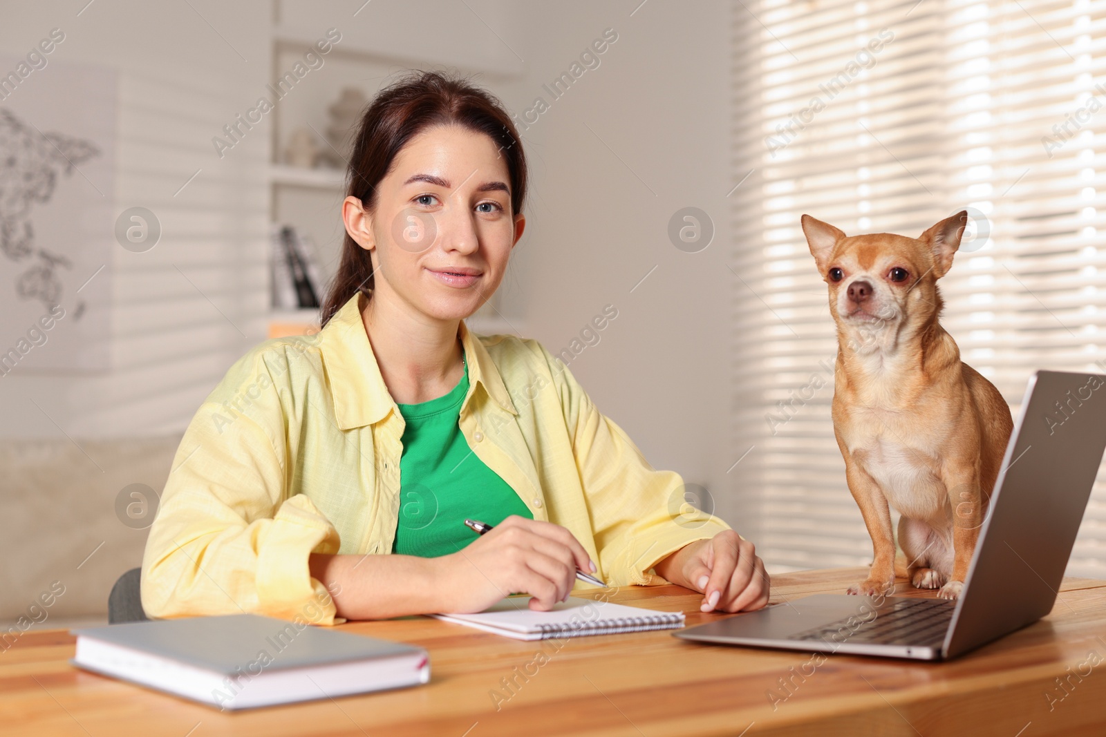 Photo of Young woman with her cute dog working on laptop at desk in home office