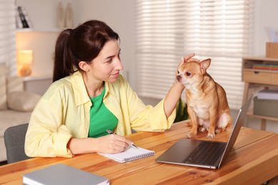 Photo of Young woman with her cute dog working on laptop at desk in home office