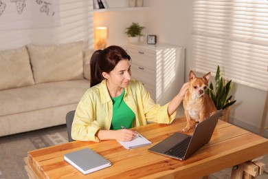 Photo of Young woman with her cute dog working on laptop at desk in home office