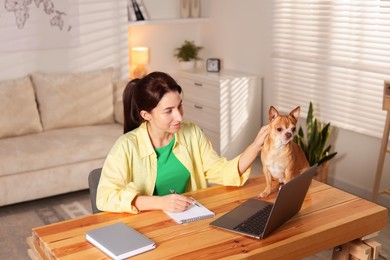 Photo of Young woman with her cute dog working on laptop at desk in home office