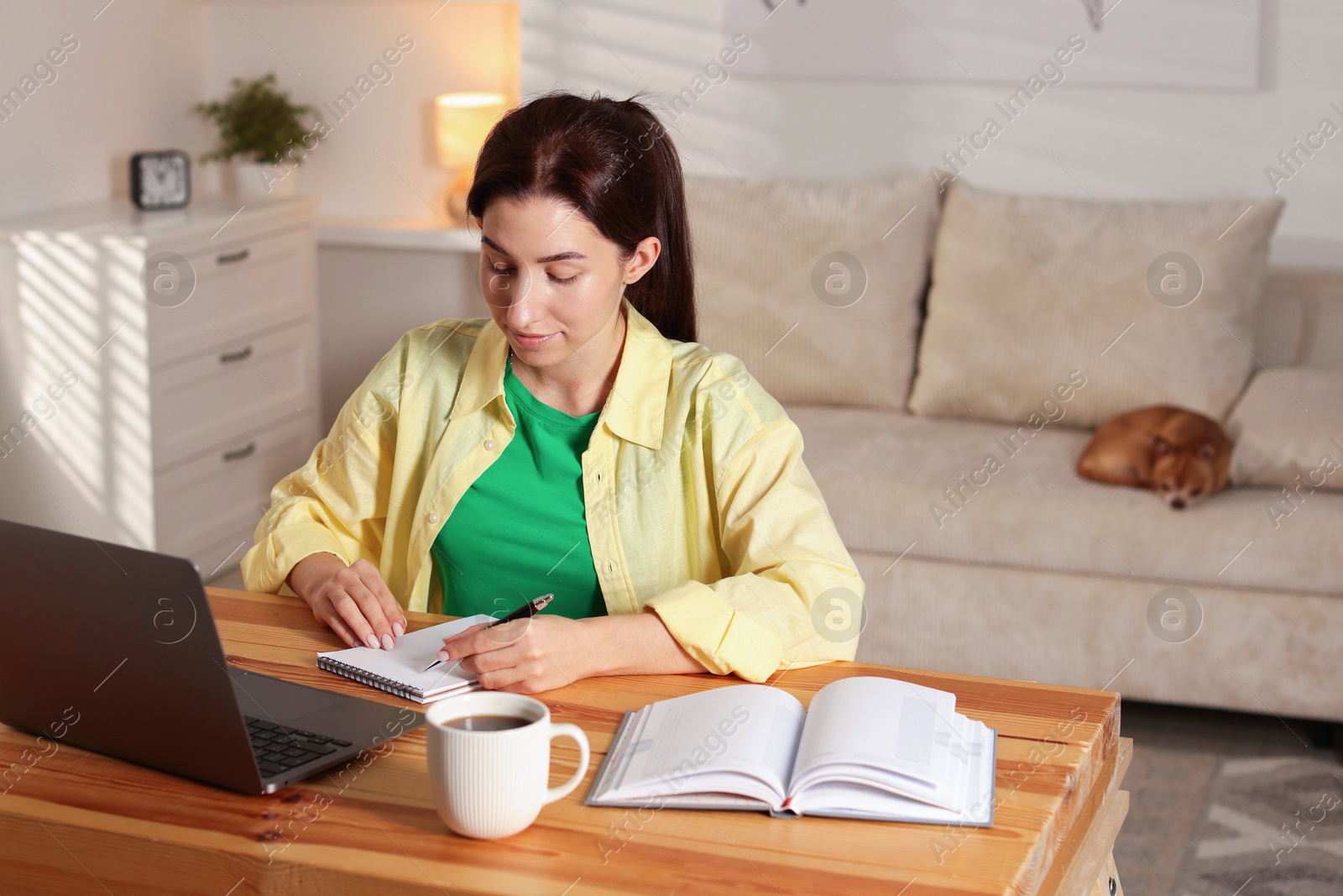 Photo of Young woman working with laptop at desk in home office while her cute dog sleeping on sofa, selective focus