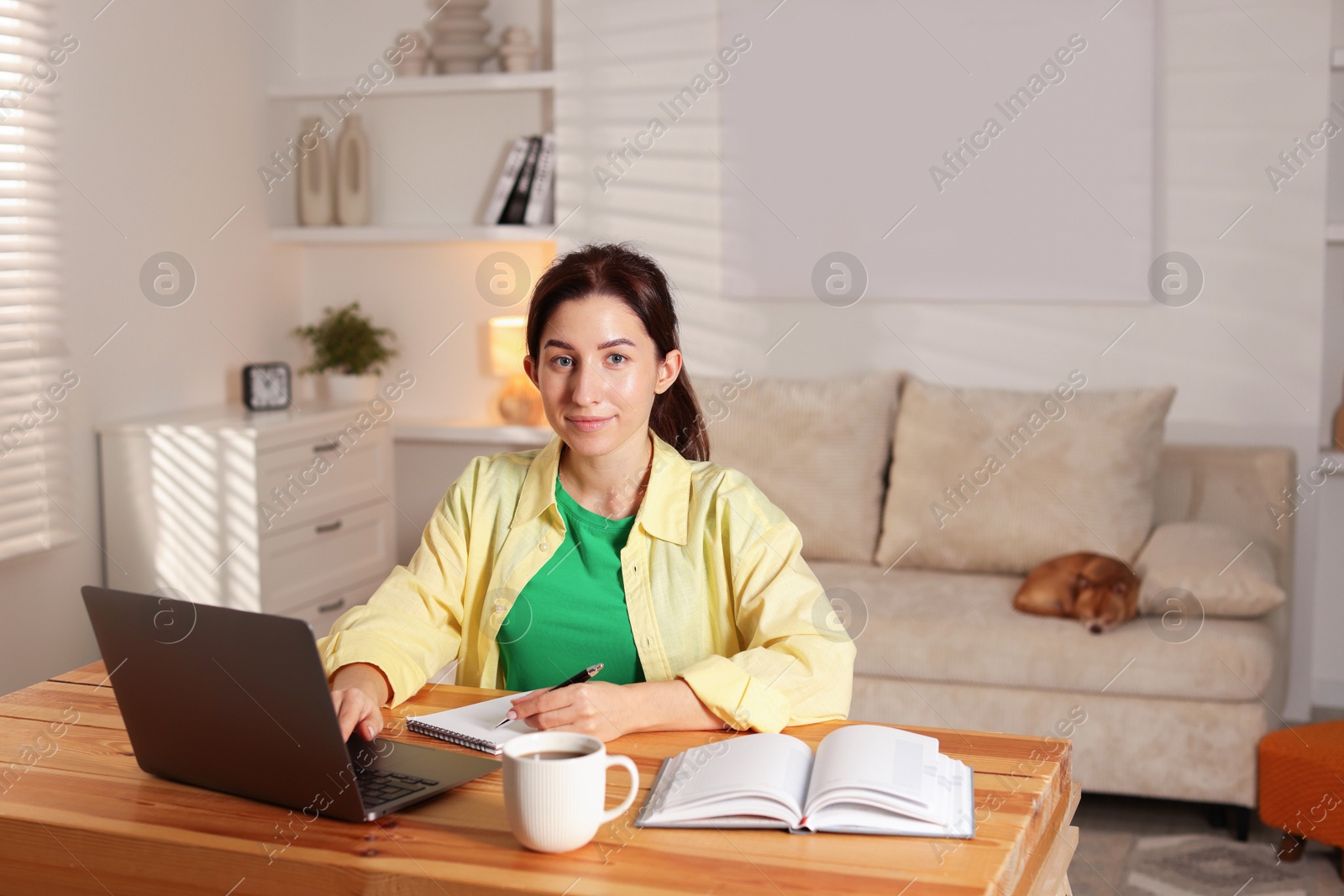 Photo of Young woman working with laptop at desk in home office while her cute dog sleeping on sofa, selective focus