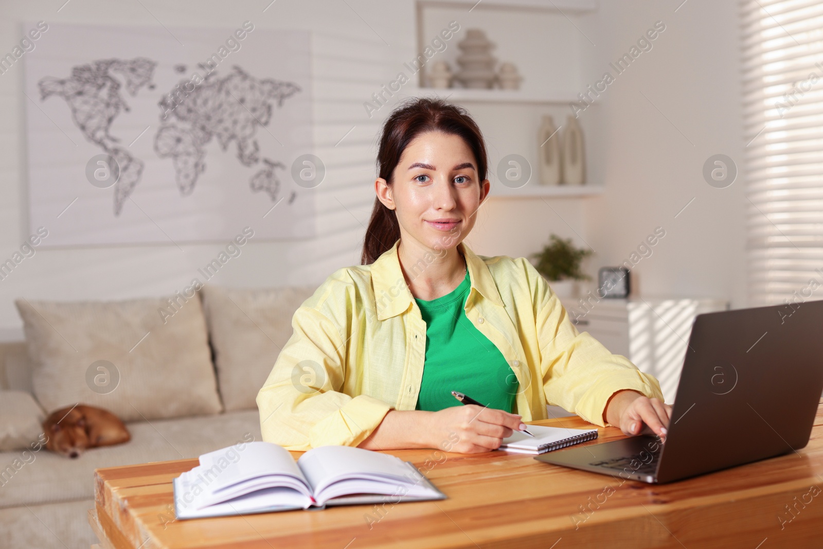 Photo of Young woman working with laptop at desk in home office while her cute dog sleeping on sofa, selective focus