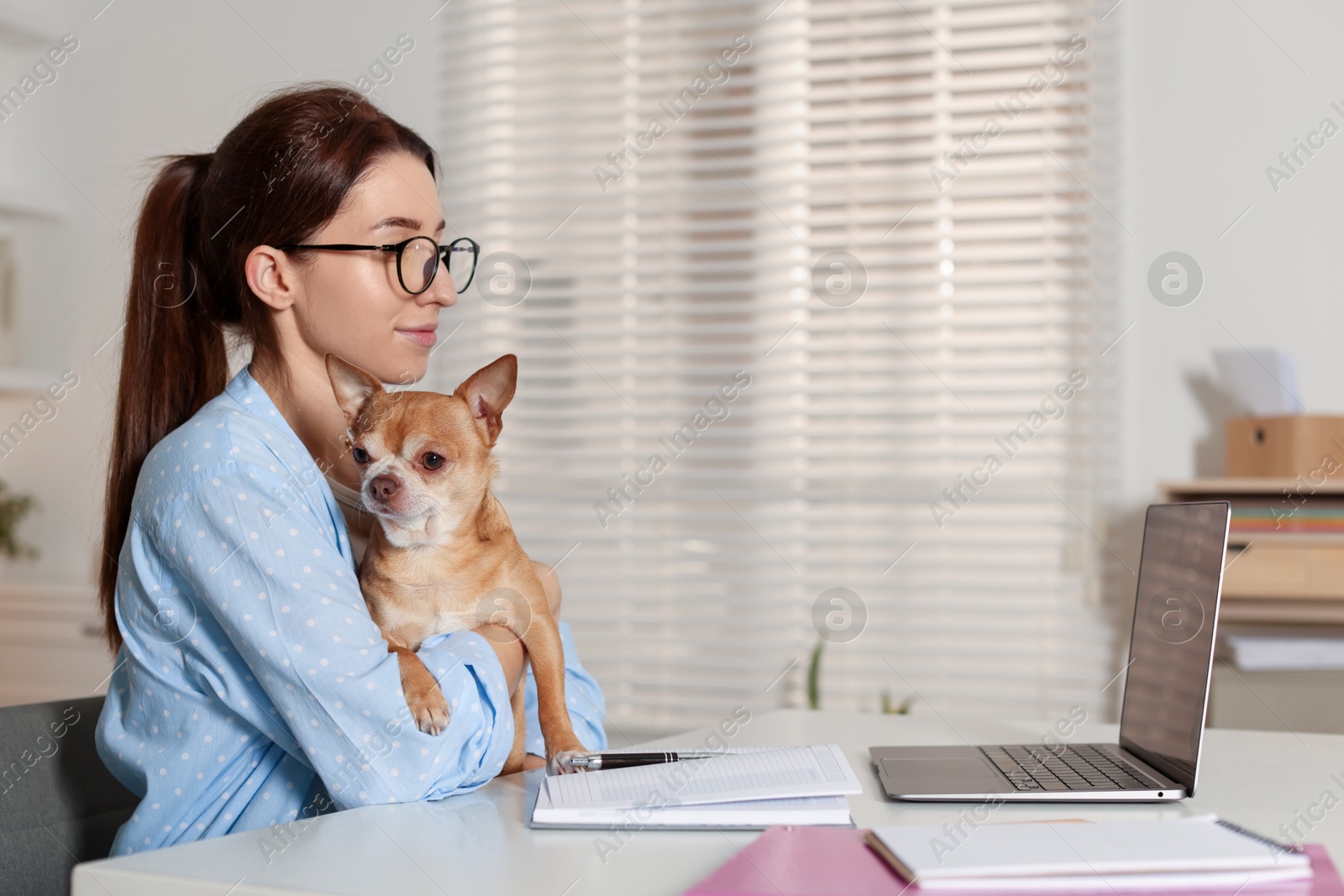 Photo of Young woman with her cute dog working on laptop at desk in home office. Space for text