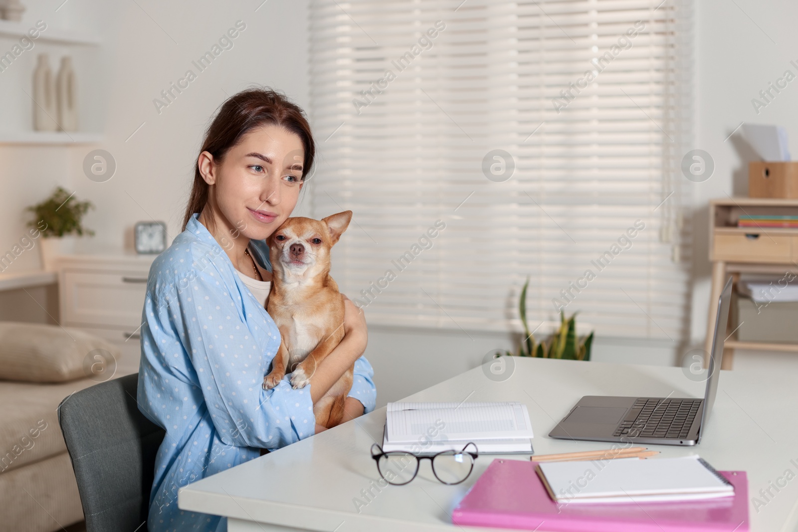 Photo of Young woman with her cute dog working on laptop at desk in home office. Space for text