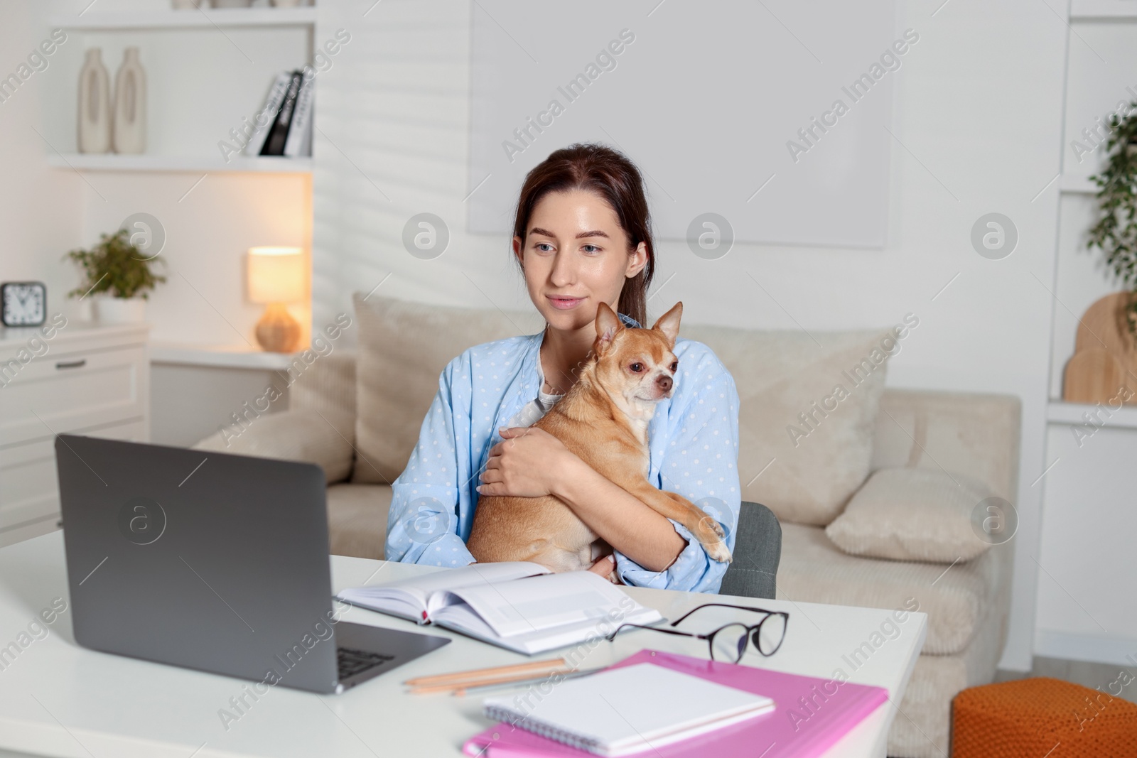 Photo of Young woman with her cute dog working on laptop at desk in home office