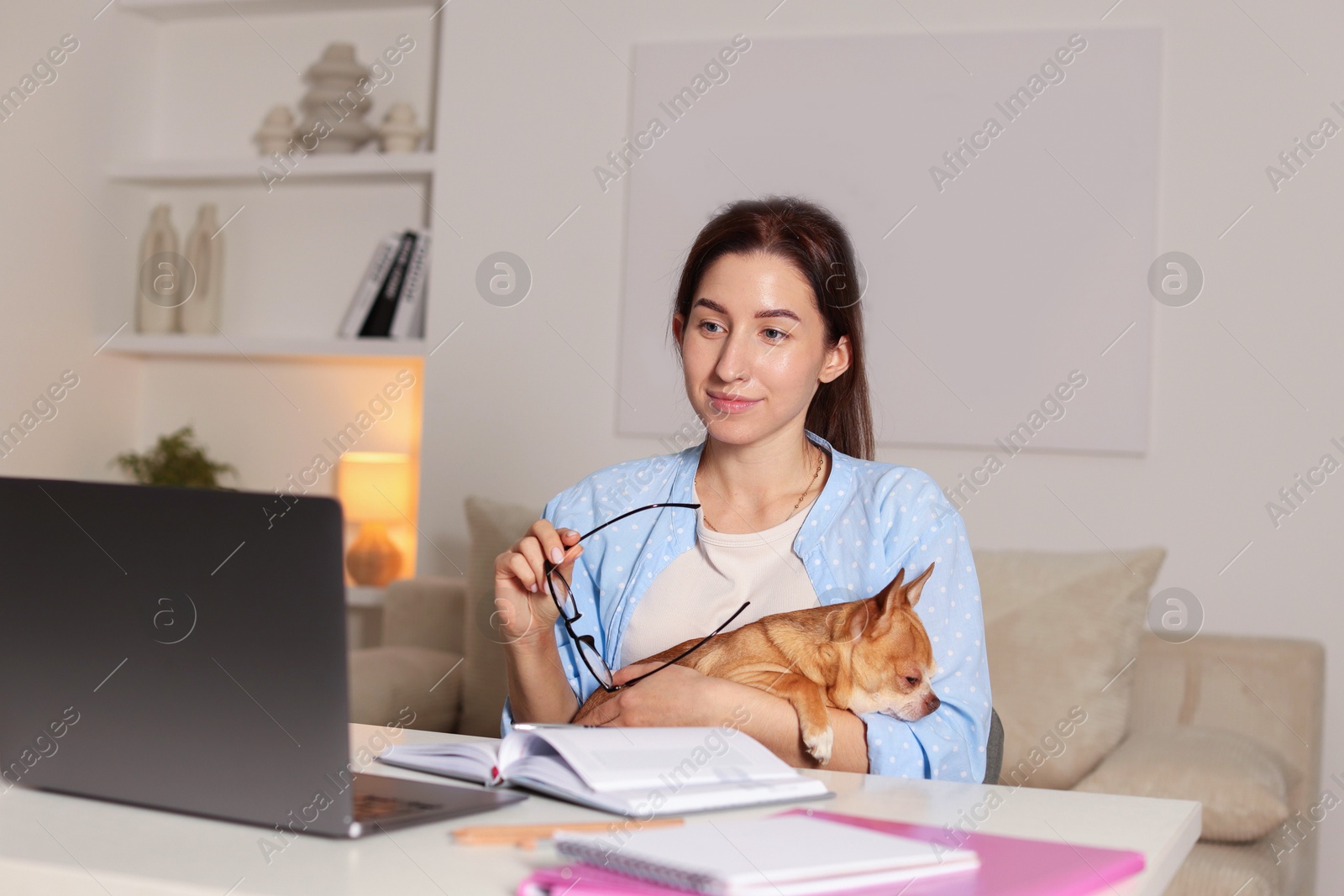 Photo of Young woman with her cute dog working on laptop at desk in home office