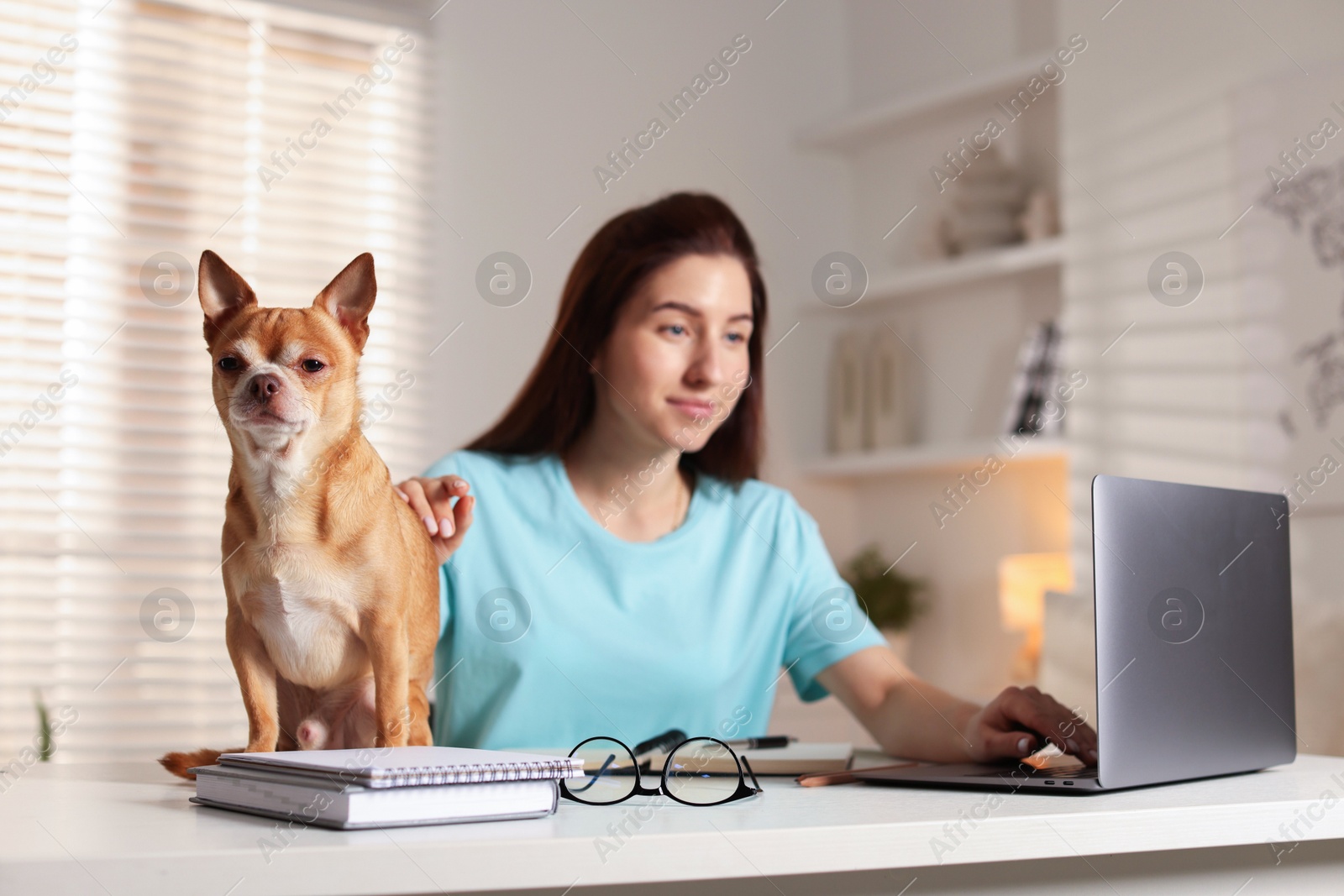 Photo of Young woman with her cute dog working on laptop at desk in home office, selective focus