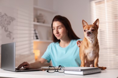 Photo of Young woman with her cute dog working on laptop at desk in home office, selective focus