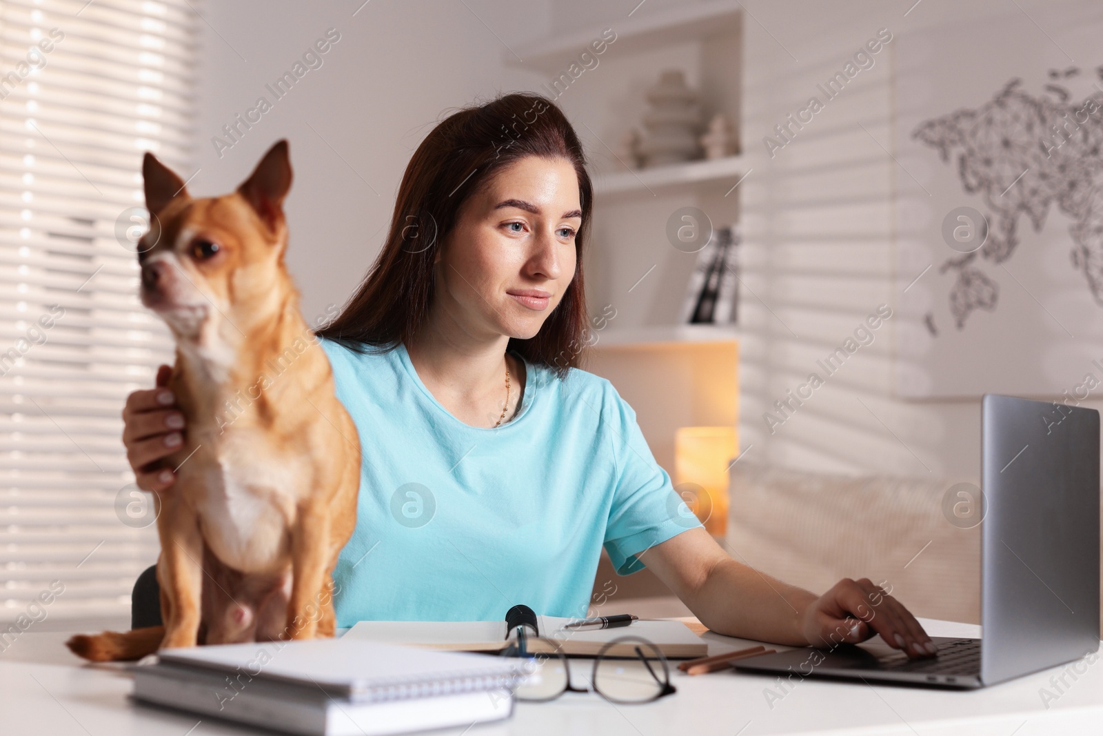 Photo of Young woman with her cute dog working on laptop at desk in home office, selective focus