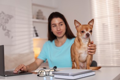 Photo of Young woman with her cute dog working on laptop at desk in home office, selective focus