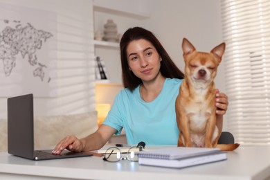 Photo of Young woman with her cute dog working on laptop at desk in home office, selective focus