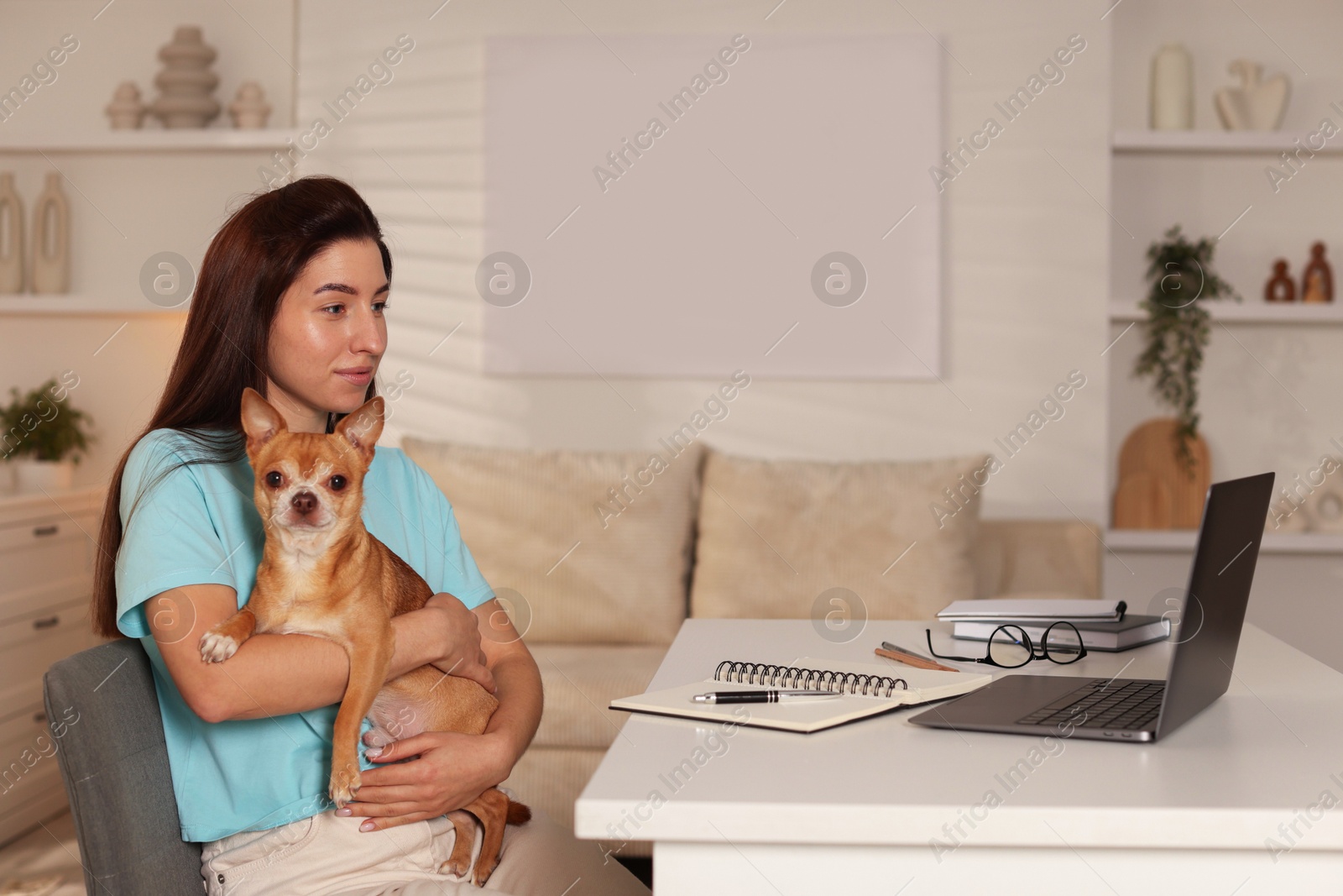 Photo of Young woman with her cute dog working on laptop at desk in home office. Space for text