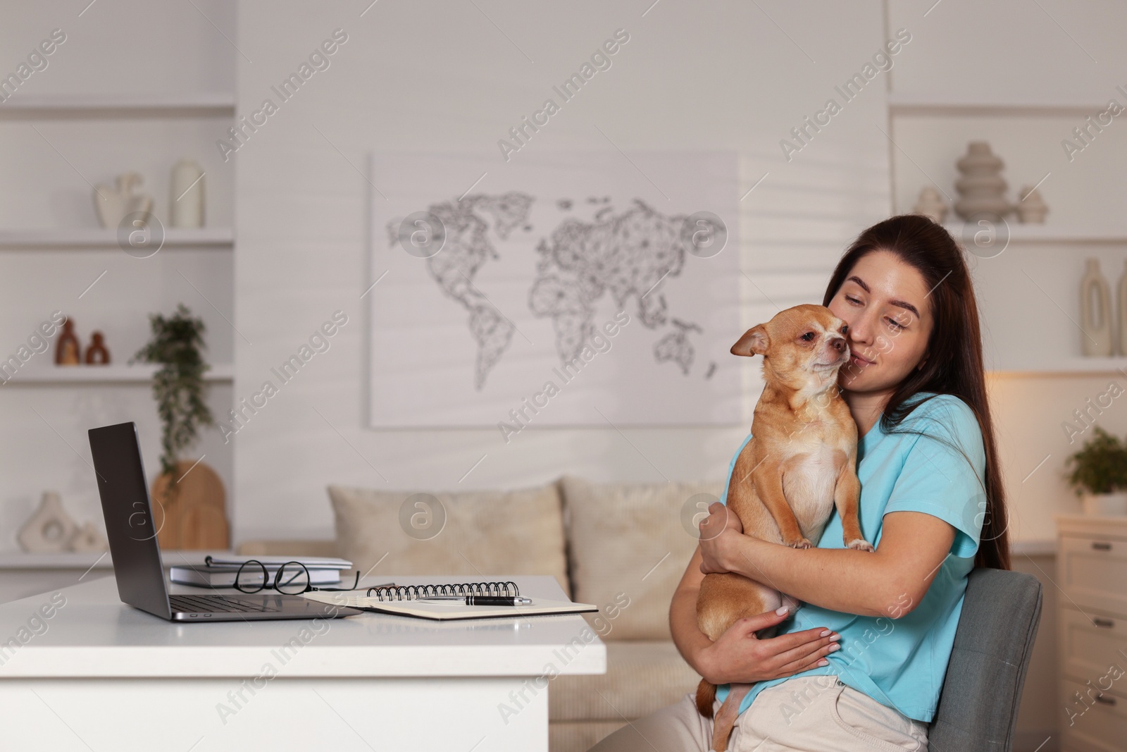 Photo of Young woman with her cute dog working on laptop at desk in home office. Space for text