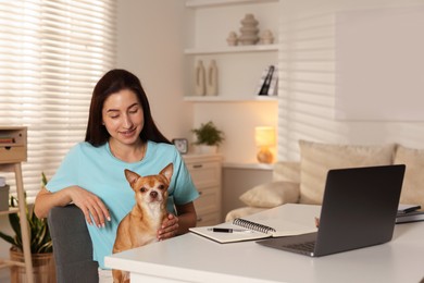 Photo of Young woman with her cute dog working on laptop at desk in home office. Space for text