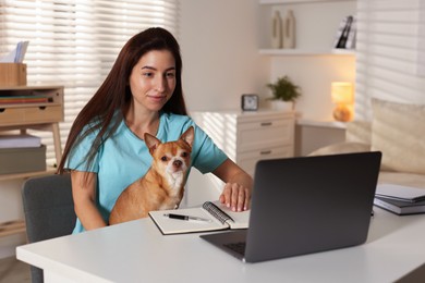 Photo of Young woman with her cute dog working on laptop at desk in home office