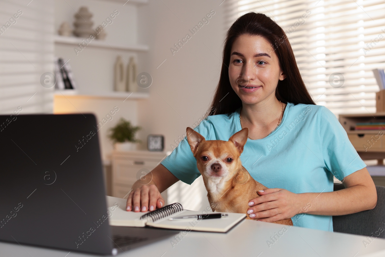 Photo of Young woman with her cute dog working on laptop at desk in home office