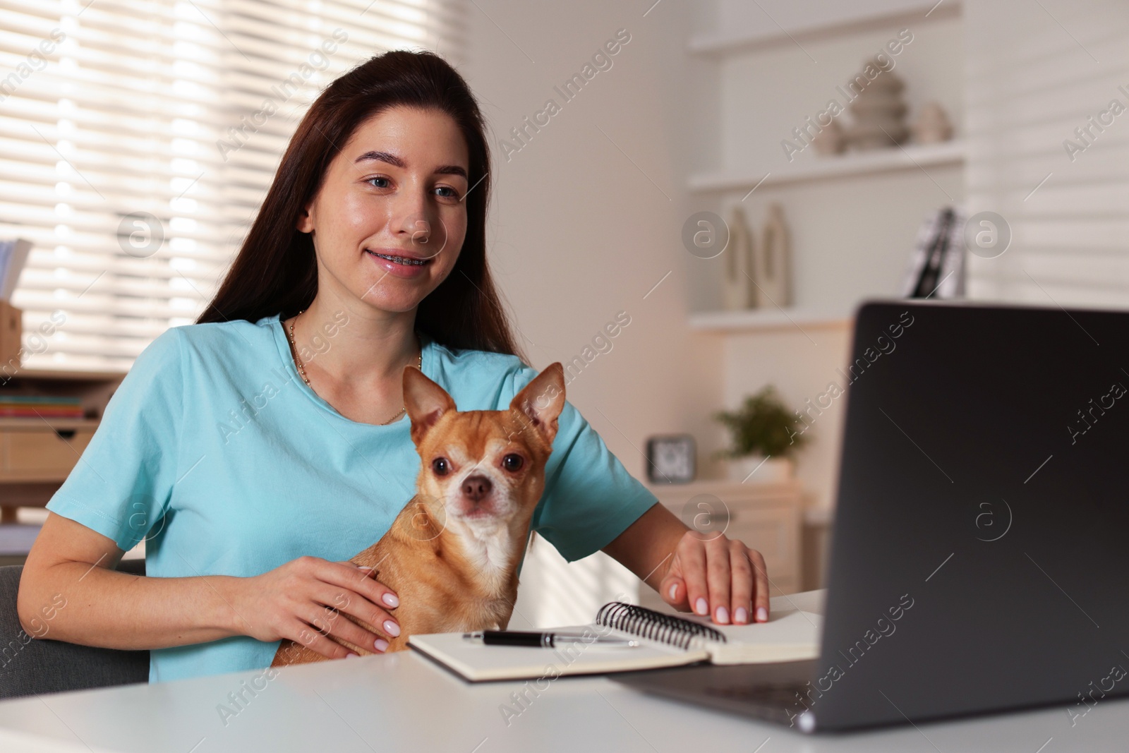 Photo of Young woman with her cute dog working on laptop at desk in home office