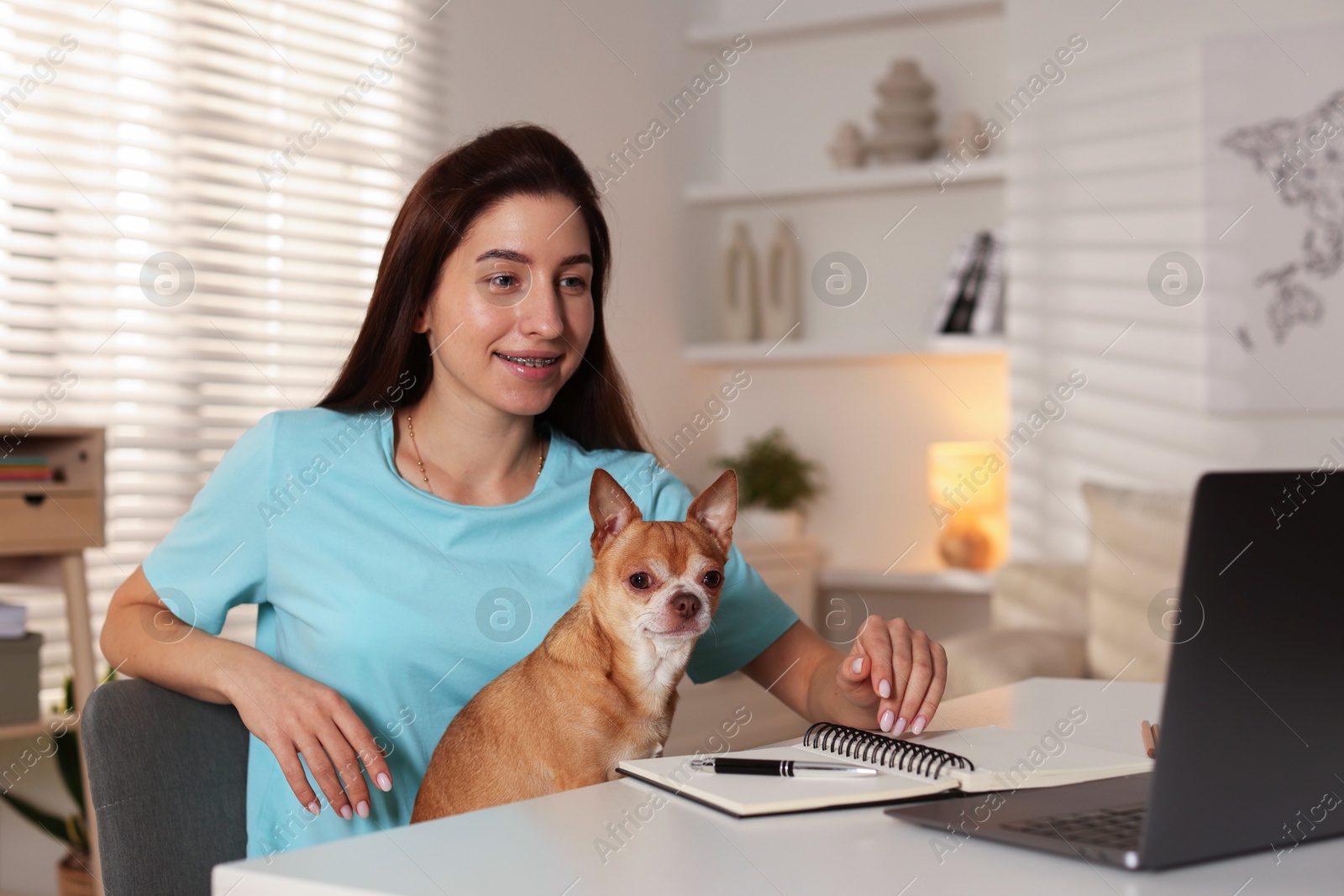 Photo of Young woman with her cute dog working on laptop at desk in home office