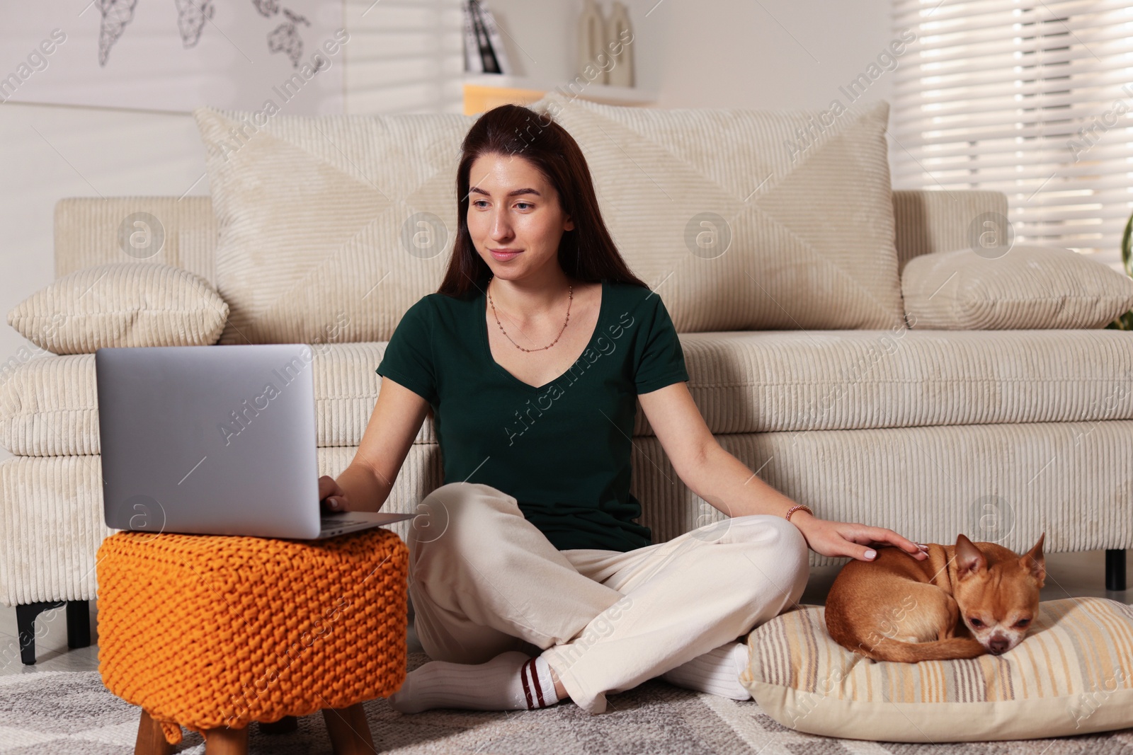 Photo of Young woman working on laptop while her cute dog sleeping beside at home