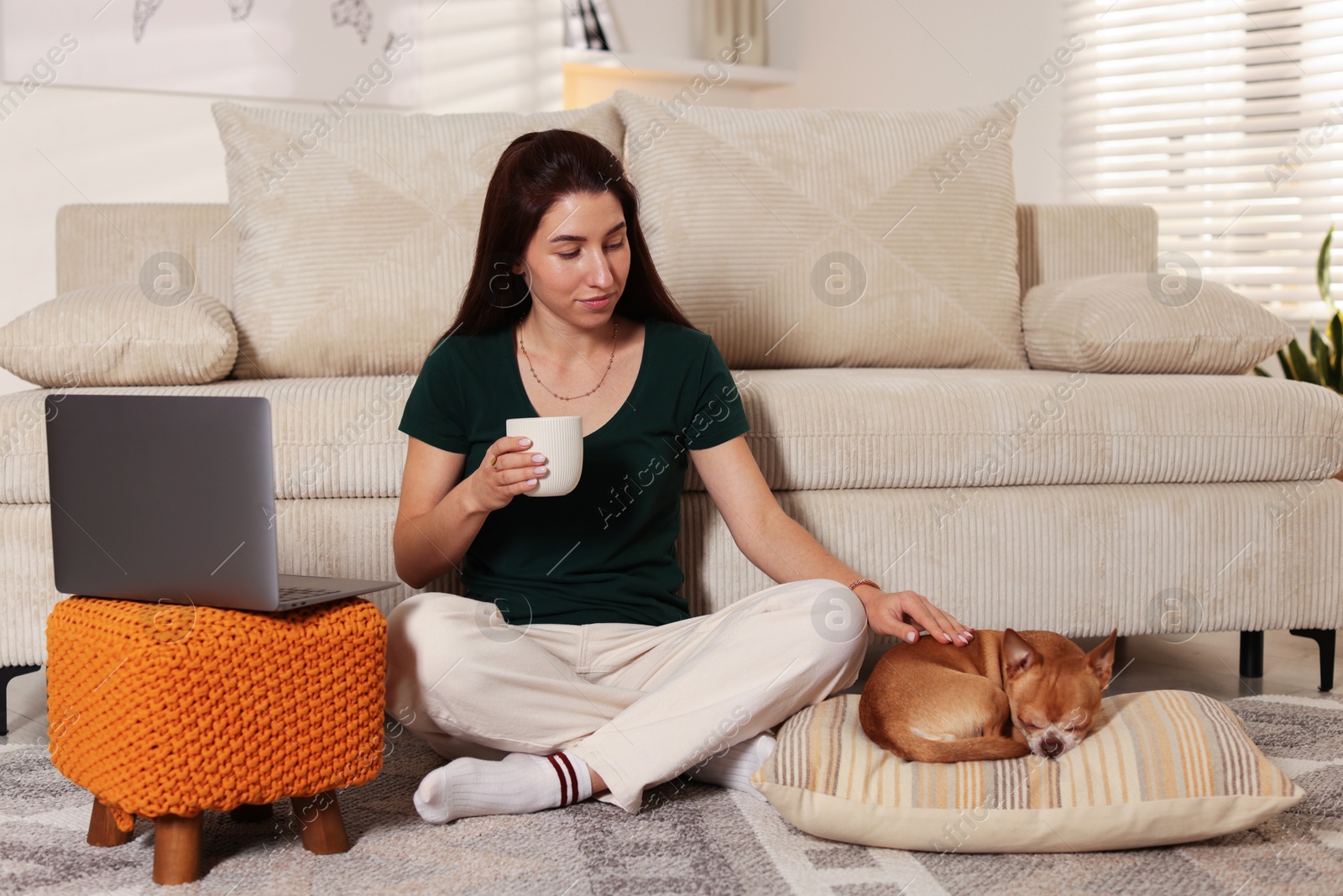 Photo of Young woman working on laptop while her cute dog sleeping beside at home