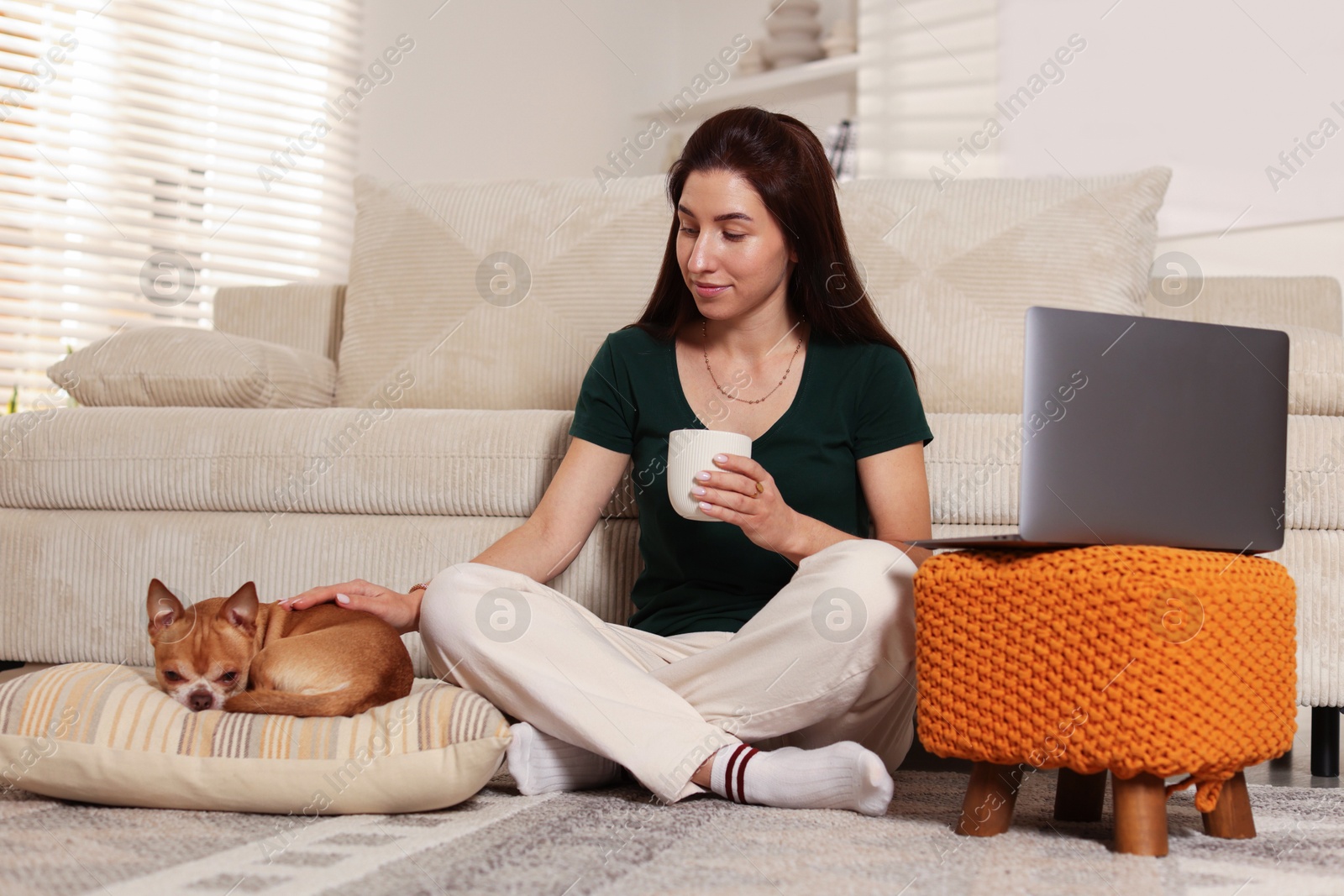 Photo of Young woman working on laptop while her cute dog sleeping beside at home