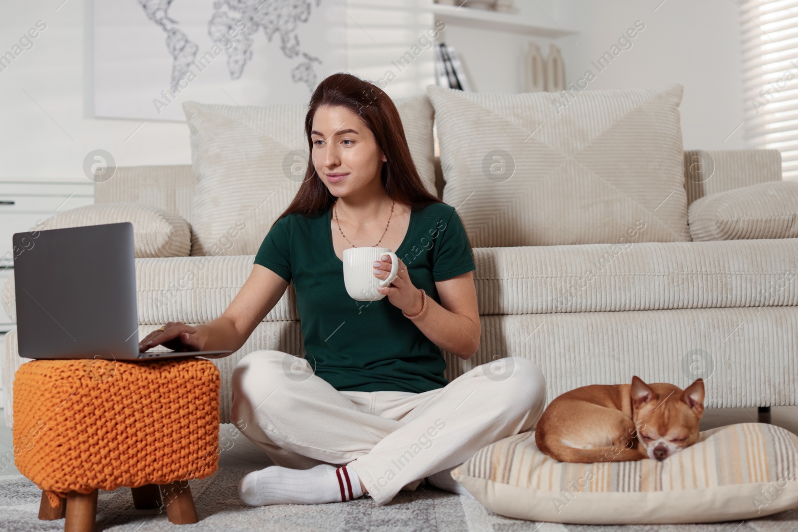 Photo of Young woman working on laptop while her cute dog sleeping beside at home