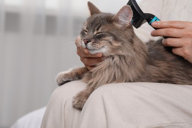 Photo of Woman brushing her cute cat indoors, closeup