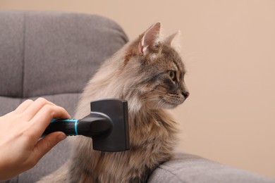 Photo of Woman brushing her cat on sofa indoors, closeup