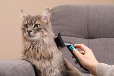 Photo of Woman brushing her cat on sofa indoors, closeup