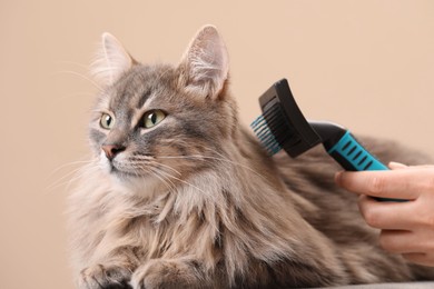 Photo of Woman brushing her cat on beige background, closeup