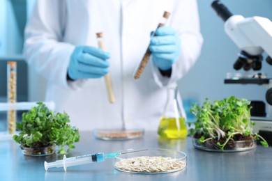 Photo of GMO concept. Scientist holding test tubes with cereal grains at table in laboratory, focus on petri dish and syringe