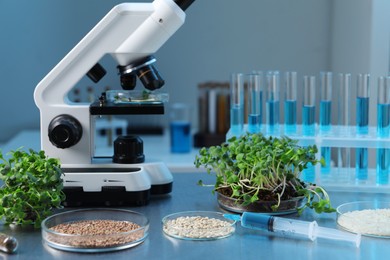 Photo of GMO concept. Different raw grains in Petri dishes, microgreens, syringe and other equipment on table in laboratory, closeup