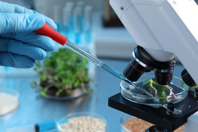 Photo of GMO concept. Scientist injecting liquid into microgreens at table laboratory, closeup