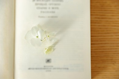 Open book with beautiful flowers on wooden table, top view