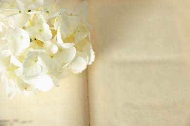 Beautiful flower buds on open book, closeup. Space for text