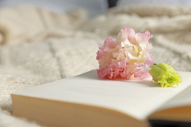 Photo of Open book with beautiful flowers on blanket, closeup