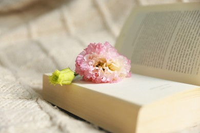 Open book with beautiful flowers on blanket, closeup