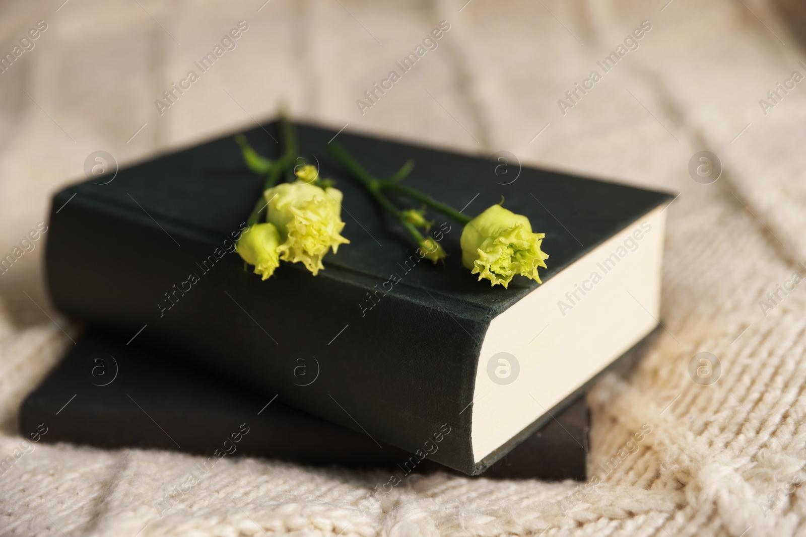 Photo of Books and beautiful flowers on blanket, closeup