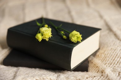 Books and beautiful flowers on blanket, closeup