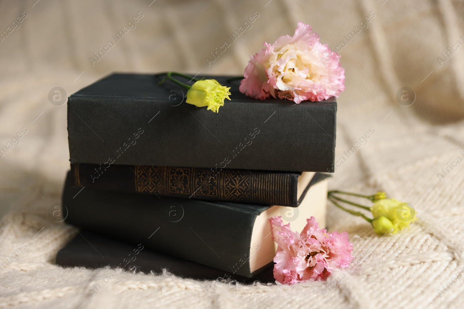 Photo of Stack of books with beautiful flowers on blanket, closeup